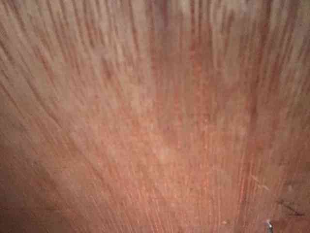 Rainie webcam