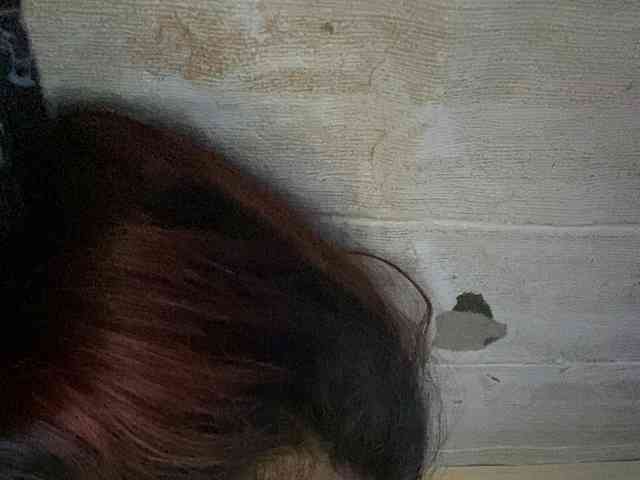 Rainie webcam