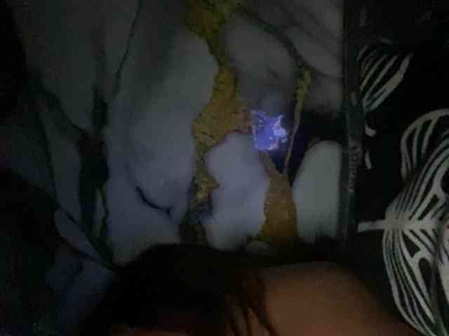 Rainie webcam