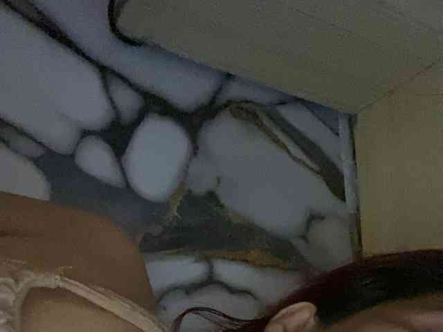 Rainie webcam