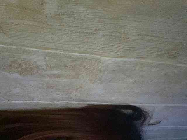 Rainie webcam