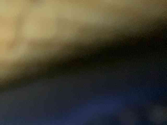 Rainie webcam