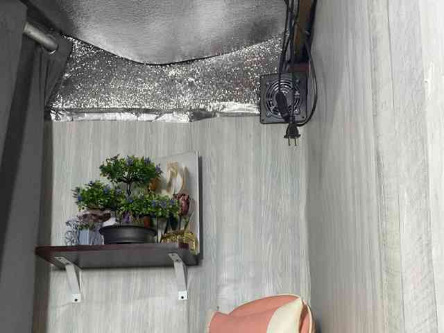 Rainie webcam