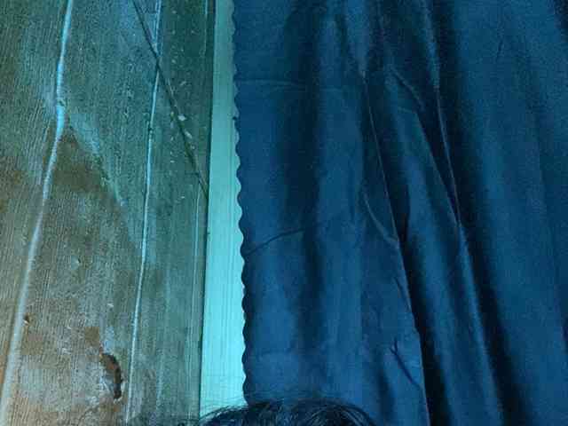 Rainie webcam