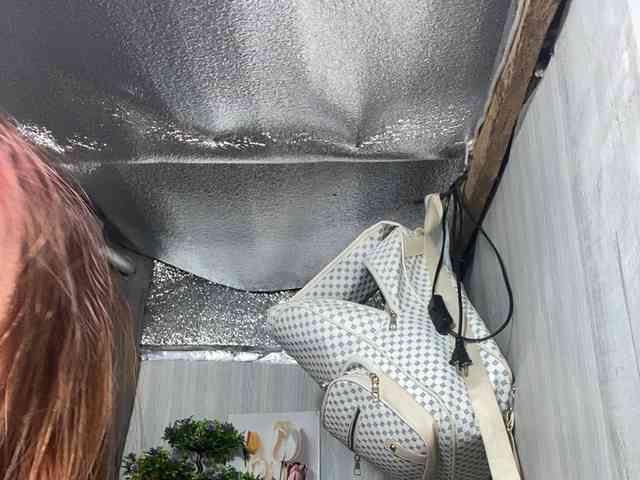 Rainie webcam
