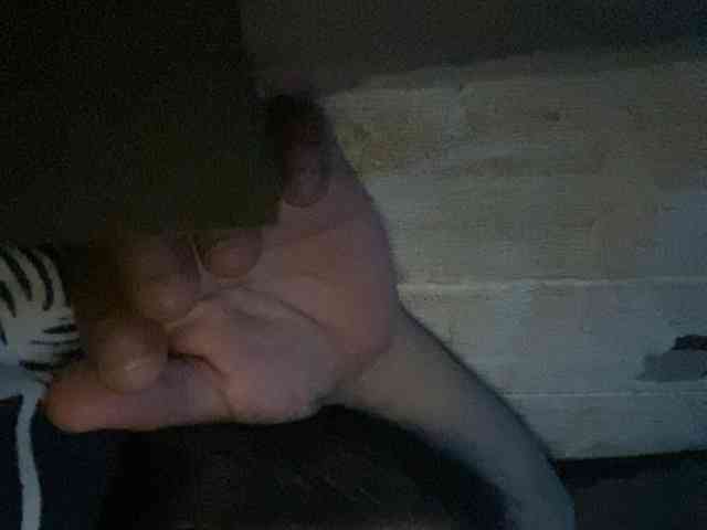 Rainie webcam