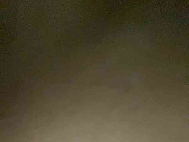 Rainie webcam