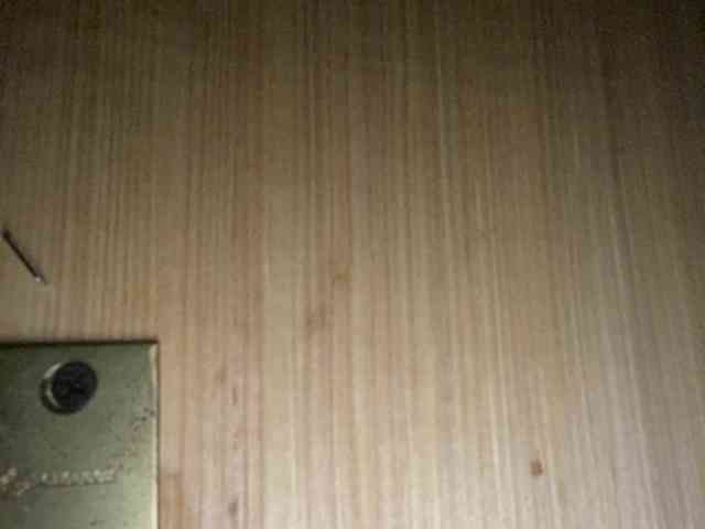 Rainie webcam