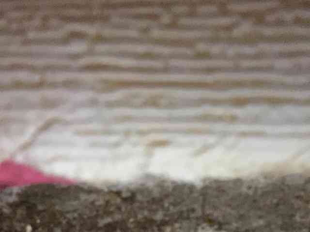 Rainie