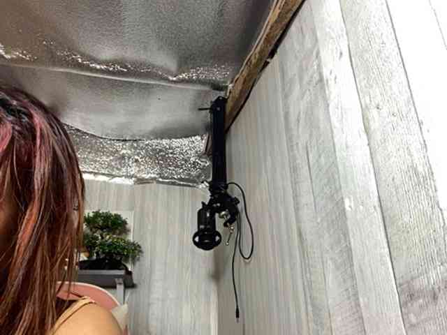 Rainie webcam