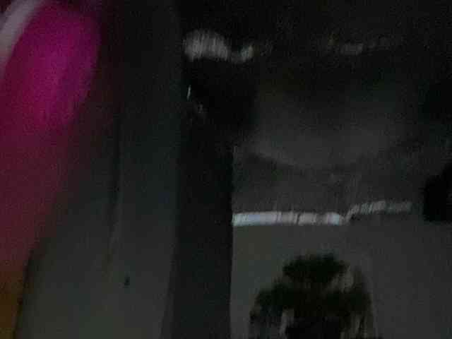 Rainie webcam