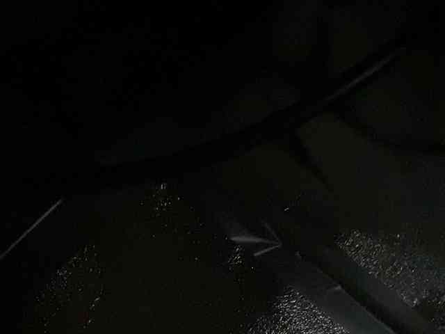 Rainie webcam