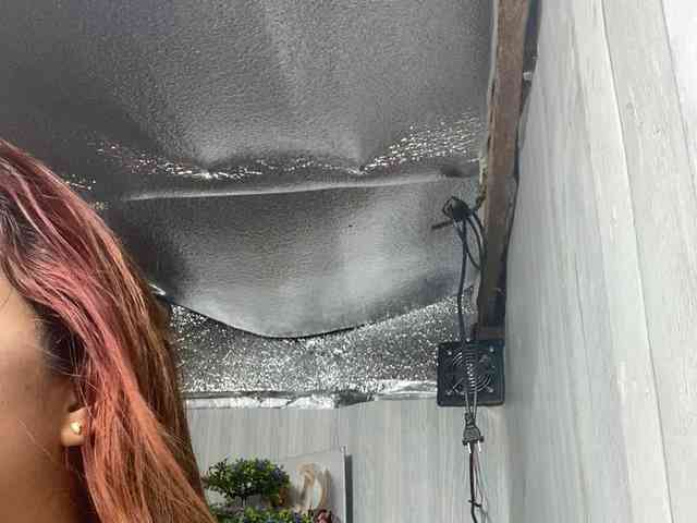 Rainie webcam
