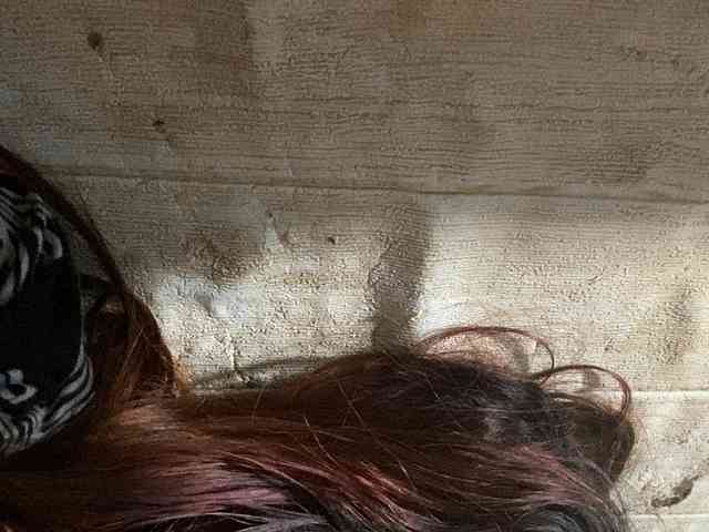 Rainie