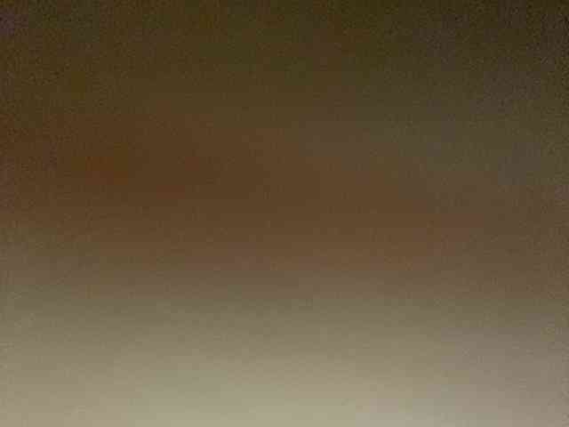 Rainie webcam
