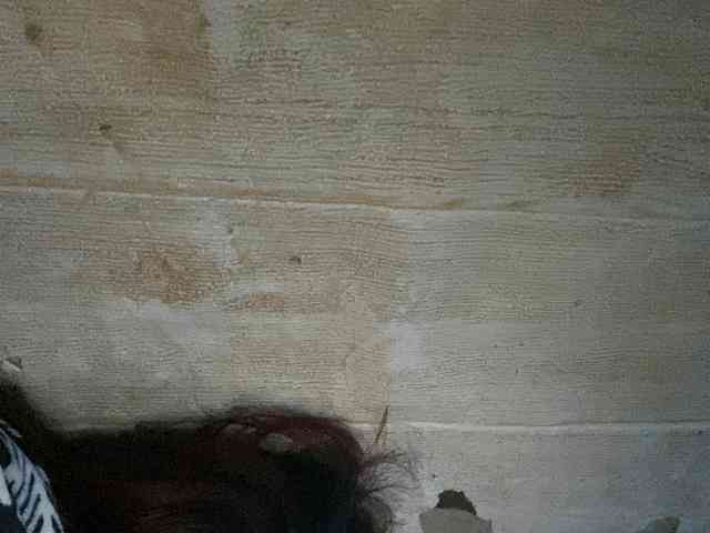 Rainie webcam