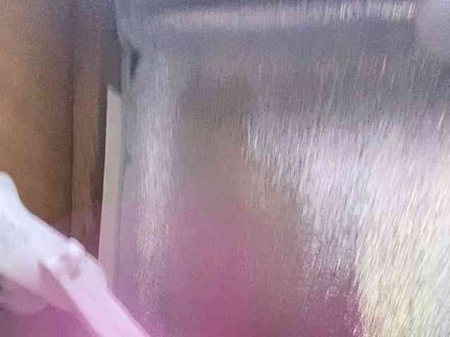 Rainie webcam