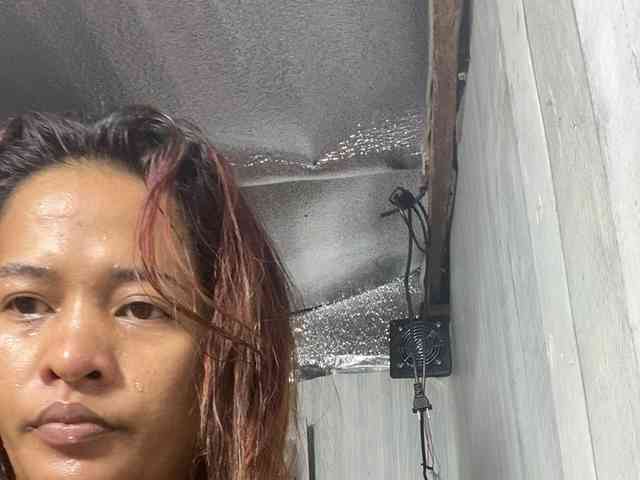 Rainie webcam