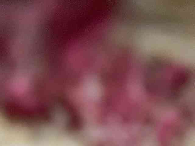 Rainie webcam