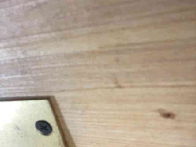Rainie webcam