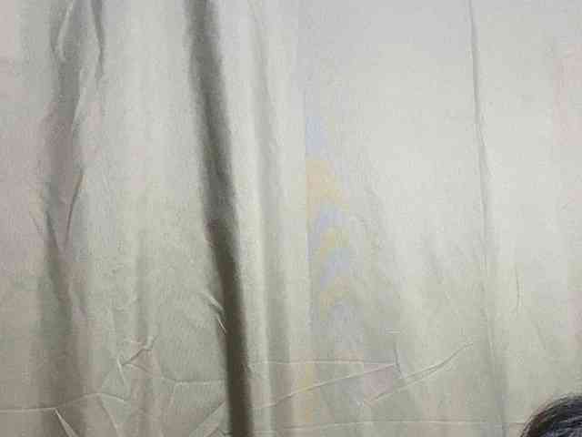 Rainie webcam