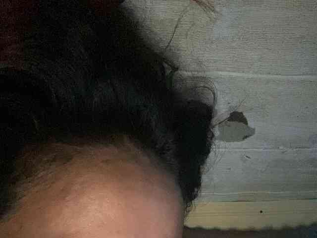 Rainie webcam
