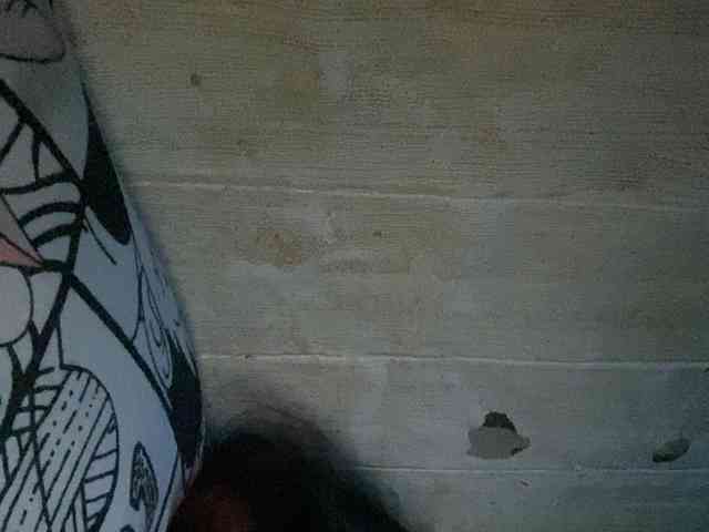 Rainie webcam