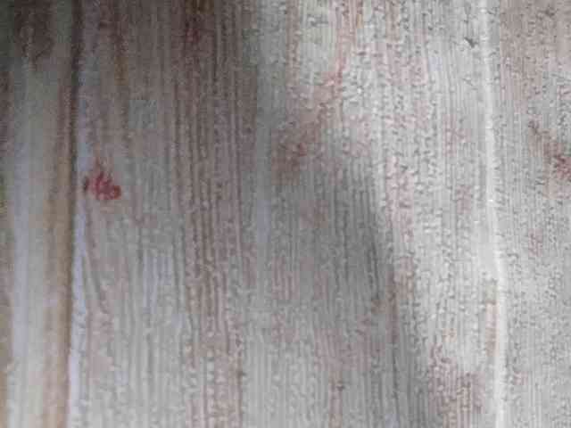 Rainie webcam