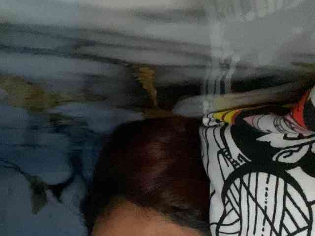Rainie webcam