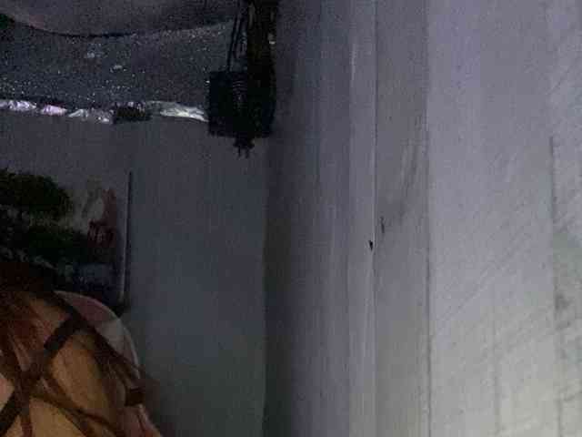 Rainie webcam