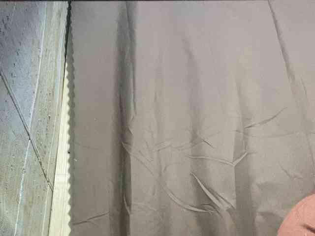 Rainie webcam