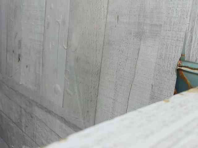 Rainie webcam