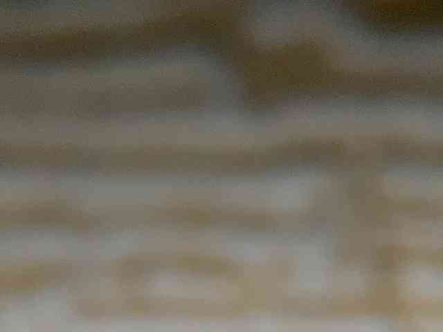 Rainie webcam