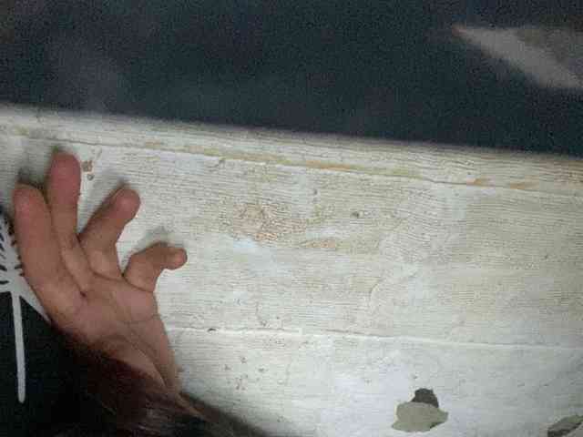 Rainie webcam