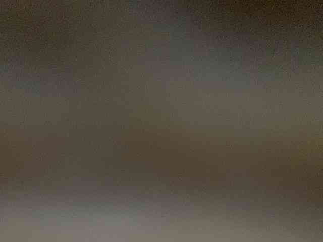 Rainie webcam