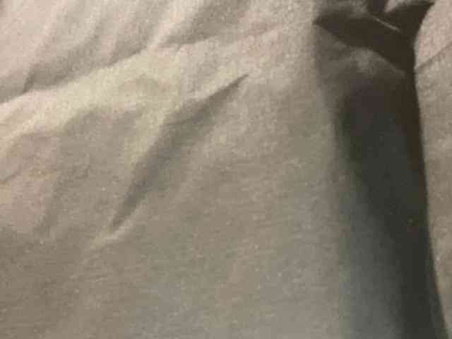 Rainie webcam
