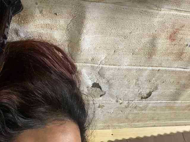 Rainie webcam