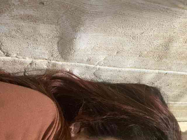 Rainie webcam