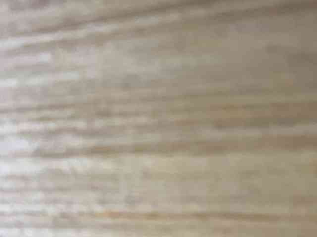 Rainie webcam