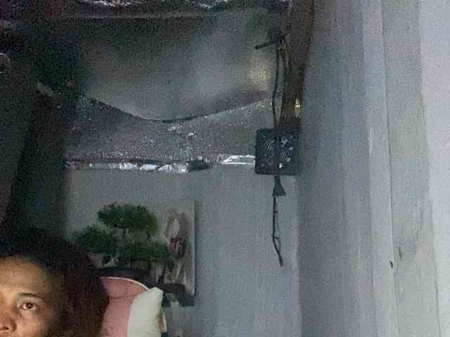 Rainie webcam