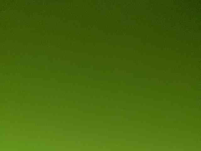 Rainie webcam