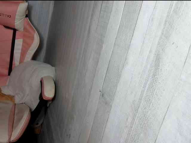 Rainie webcam