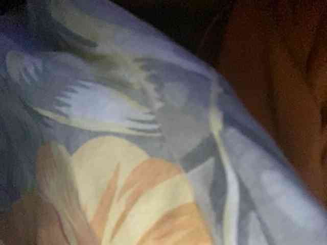 Rainie webcam