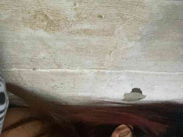 Rainie webcam