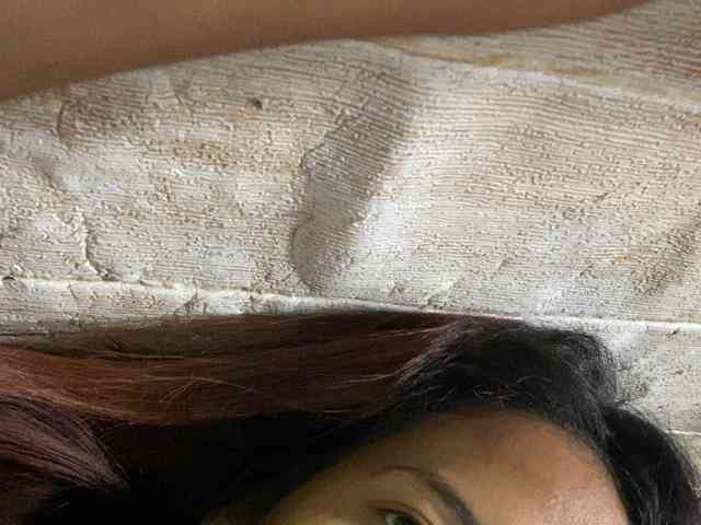 Rainie