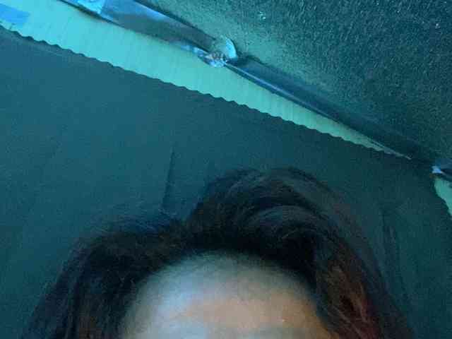 Rainie webcam