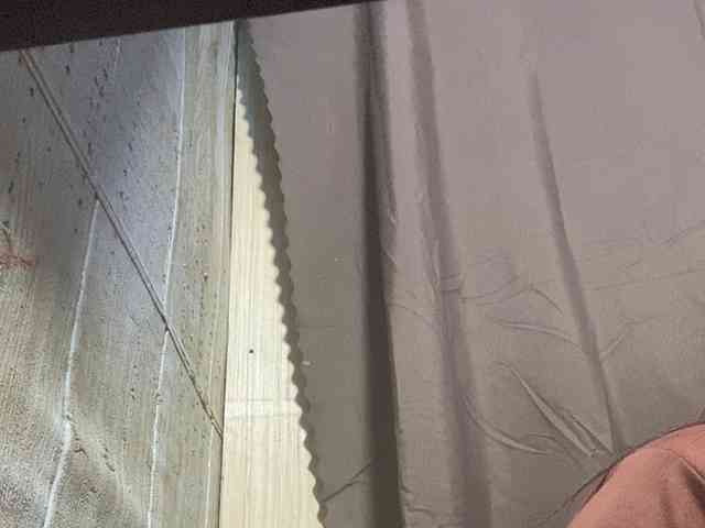Rainie webcam