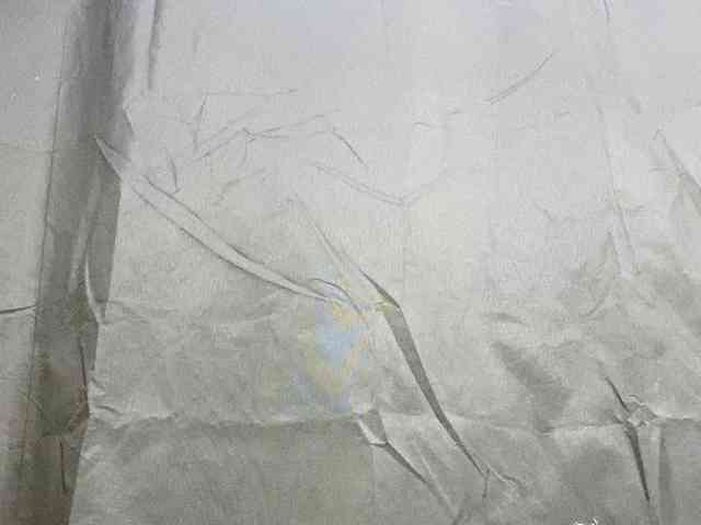 Rainie webcam