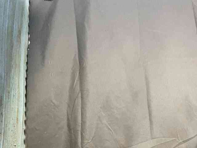Rainie webcam