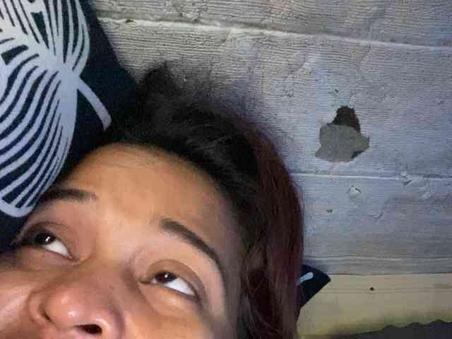 Rainie webcam